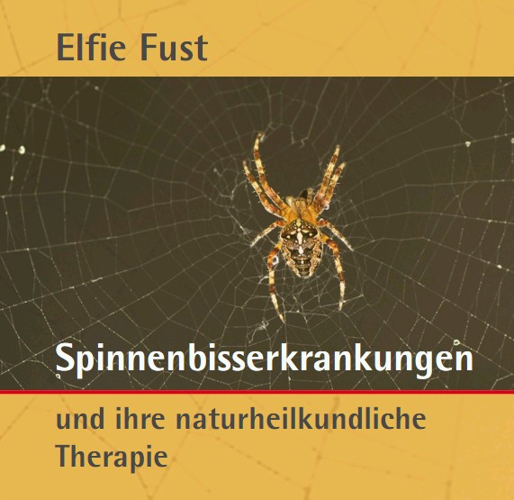 Fust: Spinnenbisse