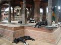 Tempel